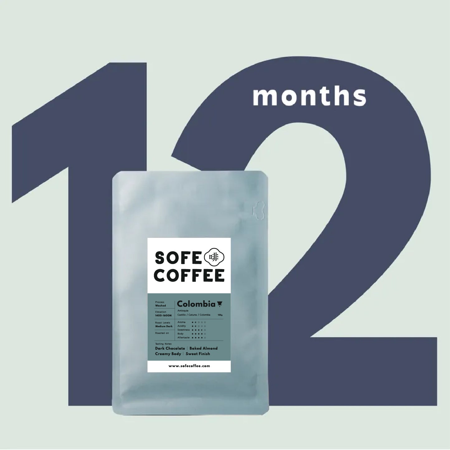 12 Months Subscription