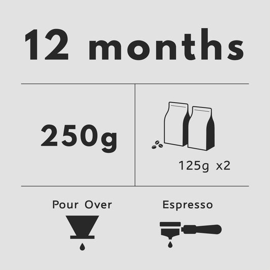 12 Months Subscription