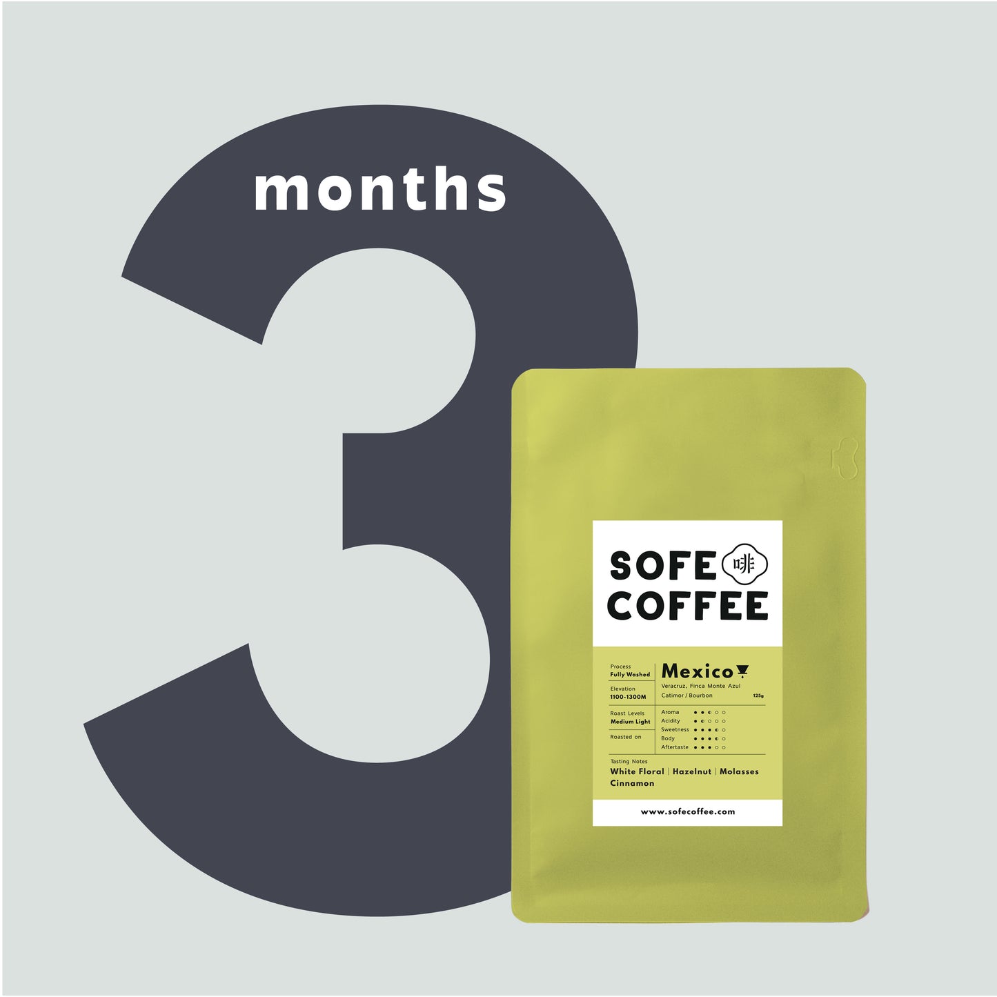 3 Months Subscription