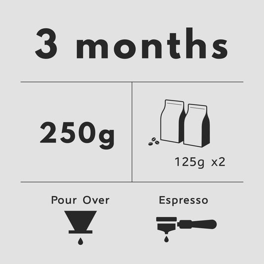 3 Months Subscription