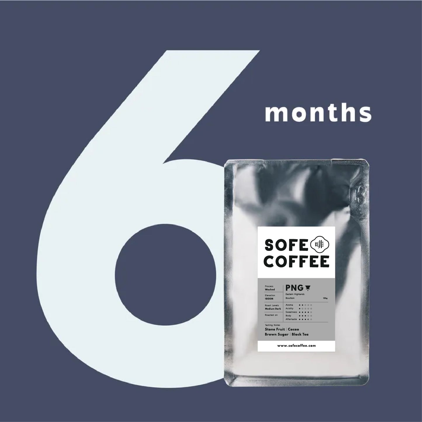 6 Months Subscription