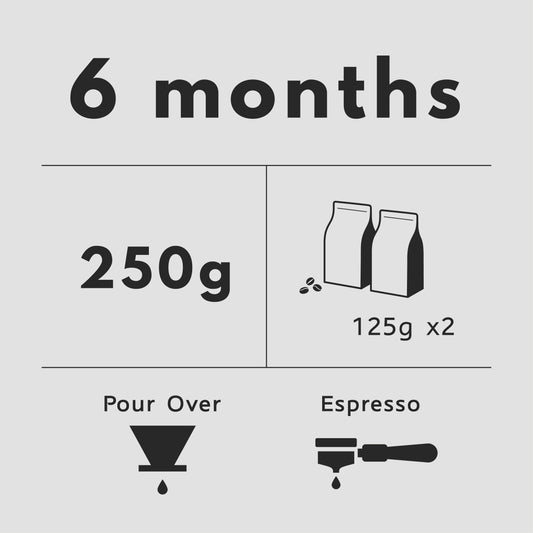 6 Months Subscription