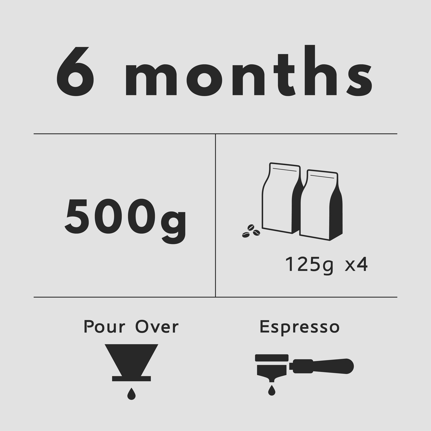 6 Months Subscription