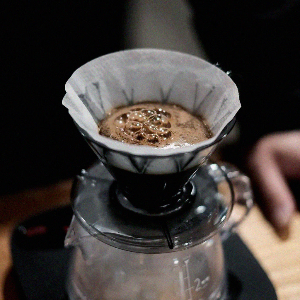 NEW - Japan CAFEC Tritan Flower Dripper