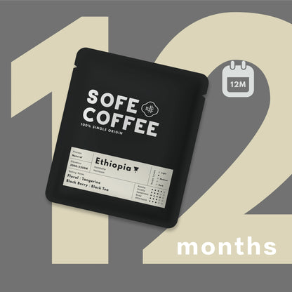 12 Months Subscription - Coffee Drip Bag
